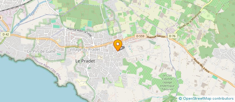 localisation de l'entreprise ASSOCIATION JEUNESSE SPORTIVE PRADETANE à LE PRADET