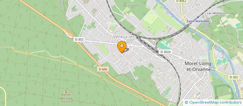 localisation de l'entreprise ASSOCIATION JUSTICE ENDOMETRIOSE  MORET-LOING-ET-ORVANNE