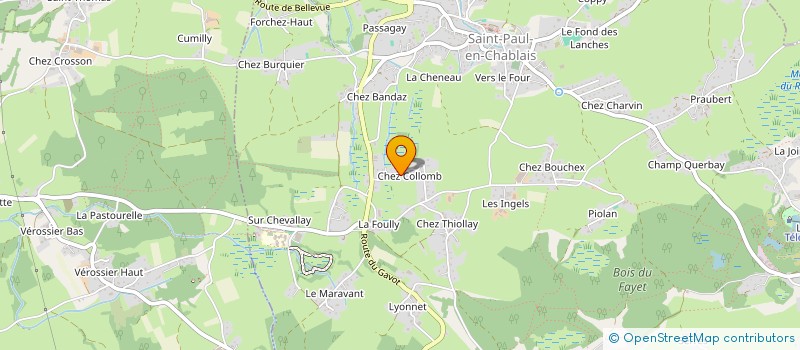 localisation de l'entreprise ASSOCIATION L'ARCHE  SAINT-PAUL-EN-CHABLAIS