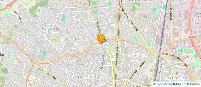localisation de l'entreprise ASSOCIATION LA DEFENSE DIJONNAISE  FONTAINE-LES-DIJON