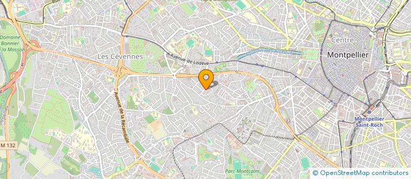 localisation de l'entreprise ASSOCIATION LA MANDRAG'OR à MONTPELLIER