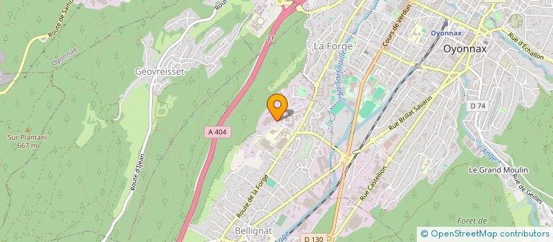 localisation de l'entreprise ASSOCIATION LA PASSERELLE  BELLIGNAT