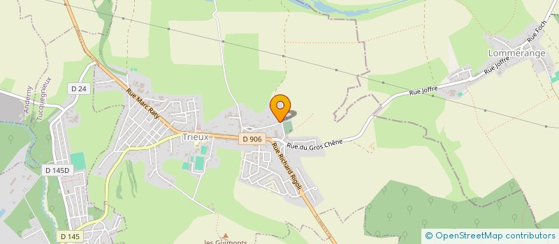 localisation de l'entreprise ASSOCIATION LANA LUTTE ANIMAL NOUVEL AVENIR  TRIEUX