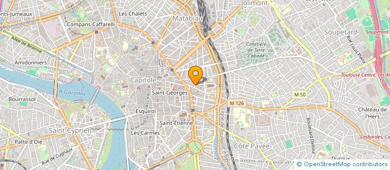 localisation de l'entreprise ASSOCIATION LE TEMPS DE L'ANIMAL  TOULOUSE