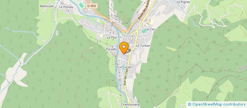 localisation de l'entreprise ASSOCIATION LES ABEILLES à THONES