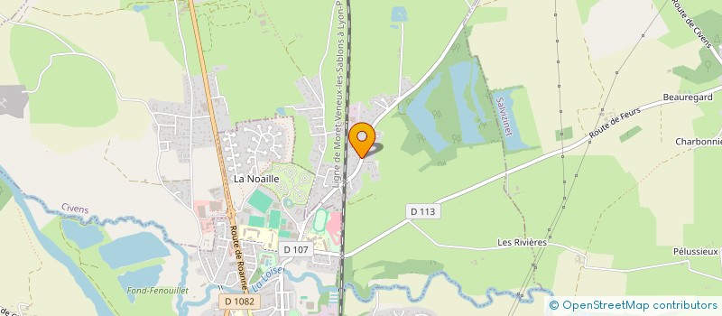 localisation de l'entreprise ASSOCIATION LES AILES DU FOREZ  CHAMBEON