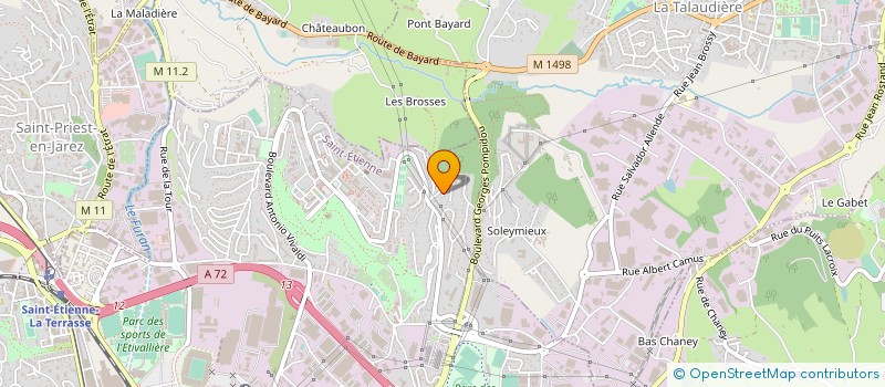 localisation de l'entreprise ASSOCIATION LES AMIS DU MOLOKO  SAINT-ETIENNE