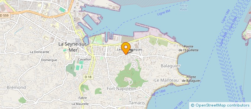 localisation de l'entreprise ASSOCIATION LES ARGONAUTES  LA SEYNE-SUR-MER