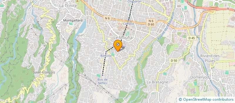 localisation de l'entreprise ASSOCIATION LES BISOUNOURS à SAINT-DENIS