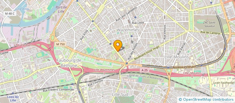 localisation de l'entreprise ASSOCIATION LES NUITS KAMELEONNES à LILLE
