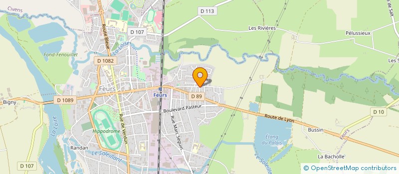 localisation de l'entreprise ASSOCIATION LOCALE POUR LE CULTE DES TEMOINS DE JEHOVAH DE FEURS  FEURS