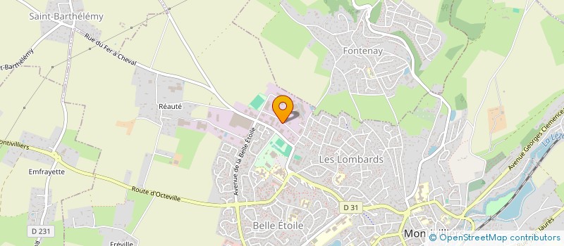 localisation de l'entreprise ASSOCIATION LOCALE POUR LE CULTE DES TEMOINS DE JEHOVAH DE MONTIVILLIERS à MONTIVILLIERS