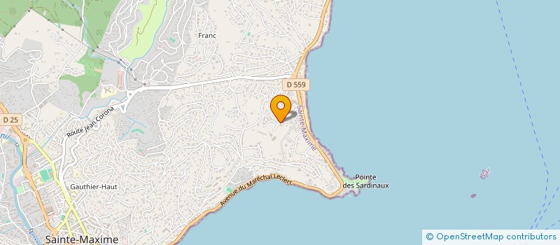 localisation de l'entreprise ASSOCIATION LOCALE POUR LE CULTE DES TEMOINS DE JEHOVAH DE SAINTE MAXIME à SAINTE-MAXIME