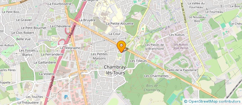 localisation de l'entreprise ASSOCIATION LOISIRS ET HANDICAP TOURAINE  -  ALHT  SAINT-CYR-SUR-LOIRE