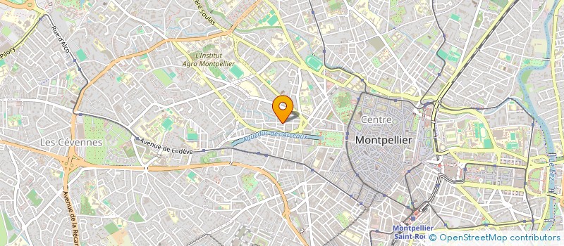 localisation de l'entreprise ASSOCIATION LOOPING à MONTPELLIER