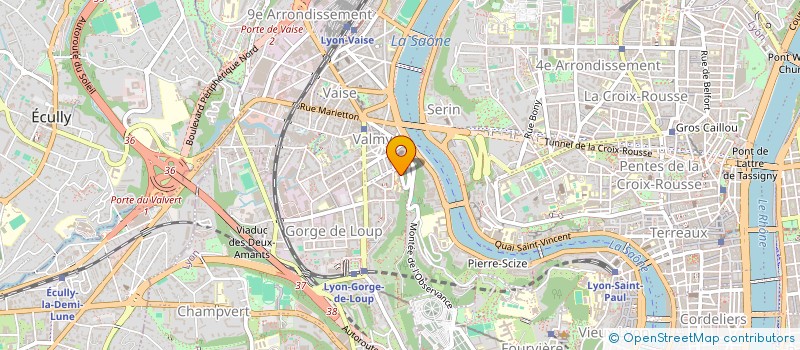 localisation de l'entreprise ASSOCIATION LUGDUNUM FLORENTIA  LYON 9EME