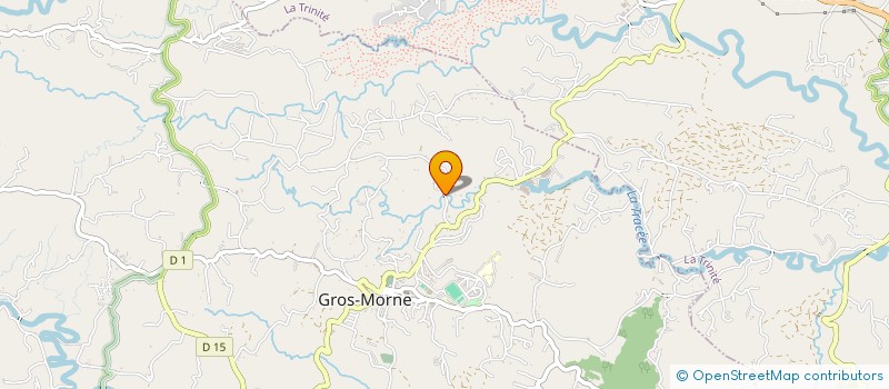 localisation de l'entreprise ASSOCIATION MAC LIVE  GROS-MORNE