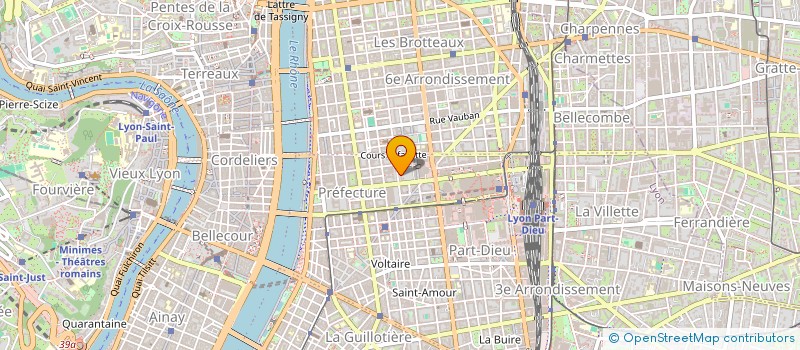 localisation de l'entreprise ASSOCIATION MEDICALE DES GROUPEMENTS SPORTIFS DU RHONE (AMGS 69)  LYON