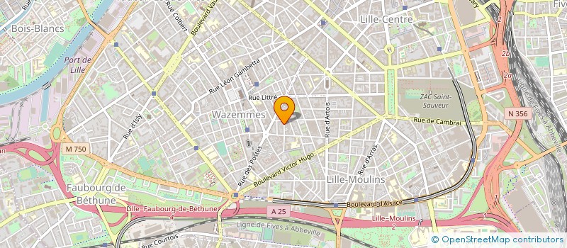 localisation de l'entreprise ASSOCIATION METROPOLITAINE INTERMEDIAIRE à LILLE