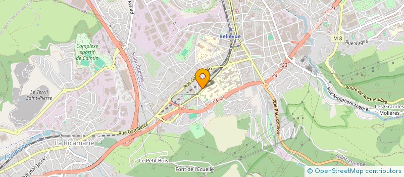 localisation de l'entreprise ASSOCIATION METZLER  SAINT-ETIENNE