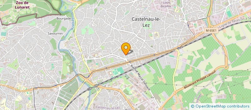 localisation de l'entreprise ASSOCIATION MGS LIFE STYLE à CASTELNAU-LE-LEZ