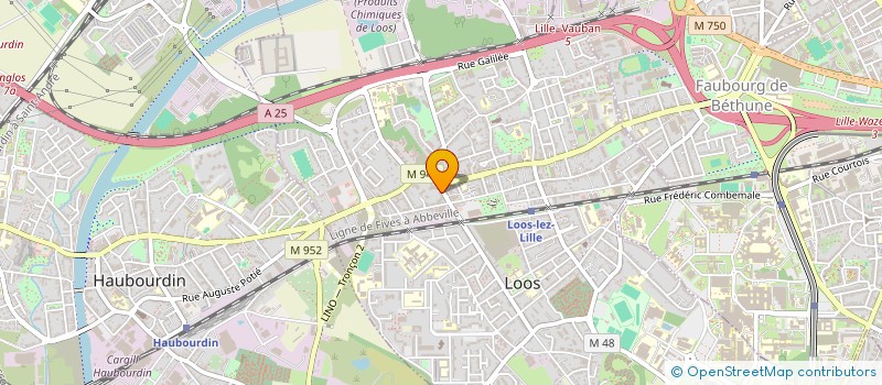 localisation de l'entreprise ASSOCIATION MODE ET ARTS DU FUTUR  LOOS