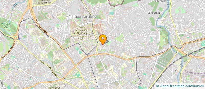 localisation de l'entreprise ASSOCIATION MONTPELLIERAINE DES ETUDIANT.ES EN ANTHROPOLOGIE à MONTPELLIER