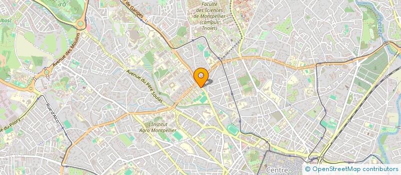 localisation de l'entreprise ASSOCIATION MULTIDISCIPLINAIRE ORGANISEE NAVIGUANT POUR TRAITER DES PROBLEMATIQUES EVIDENTES DE SANTE à MONTPELLIER