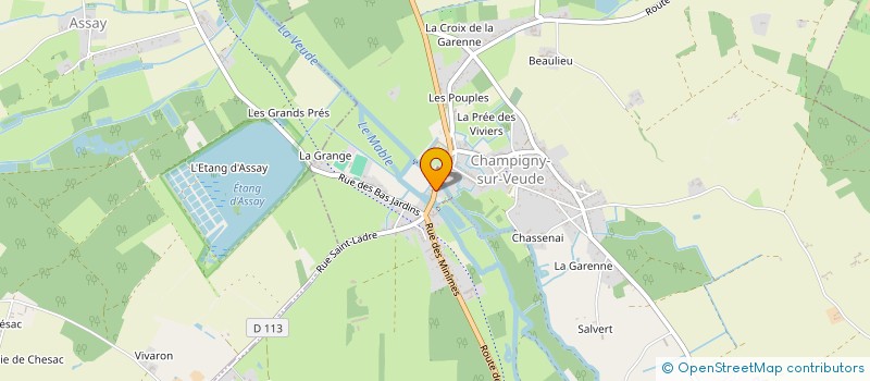 localisation de l'entreprise ASSOCIATION NEE POUR VIVRE  CHAMPIGNY-SUR-VEUDE