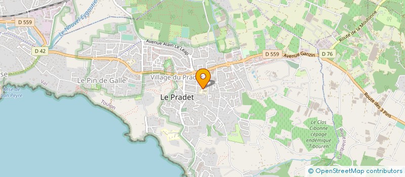 localisation de l'entreprise ASSOCIATION PARENTS ET AMIS DE L'ECOLE CHARLES SANDRO II  LE PRADET