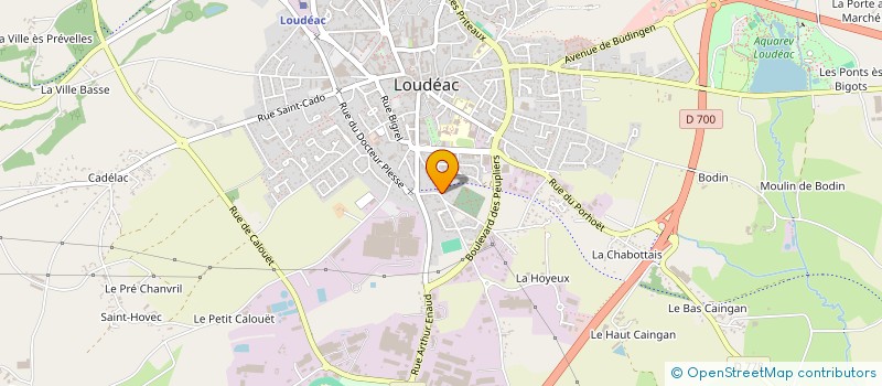 localisation de l'entreprise ASSOCIATION PASSION CHANTEE  LOUDEAC