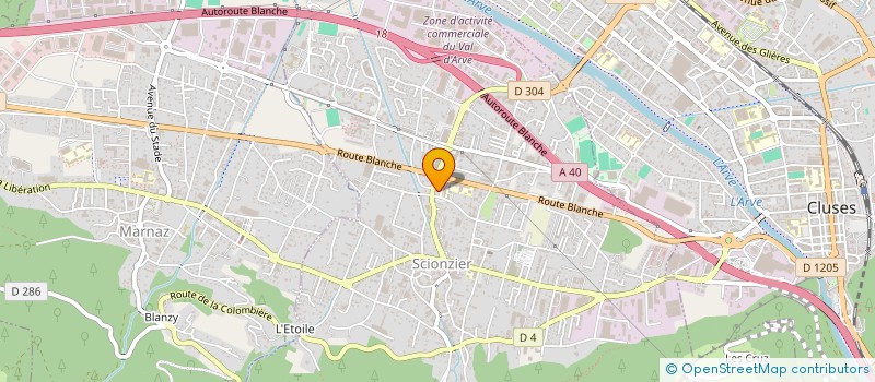 localisation de l'entreprise ASSOCIATION POLAR SWIM  SCIONZIER