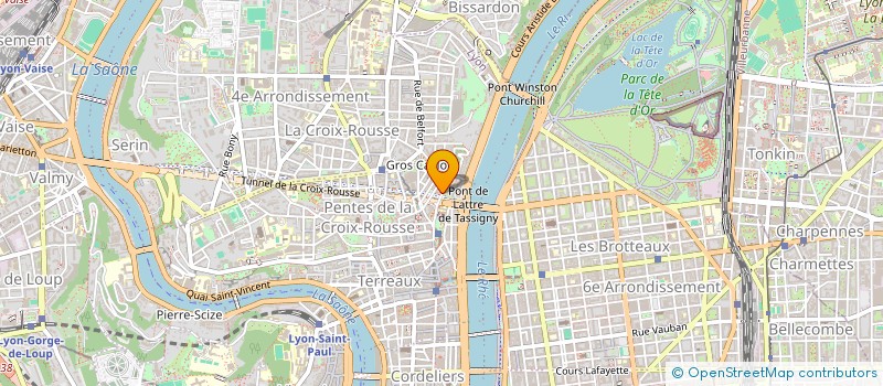 localisation de l'entreprise ASSOCIATION POUR LA DIFFUSION SCIENTIFIQUE ET L'AIDE ASSOCIATIVE à LYON