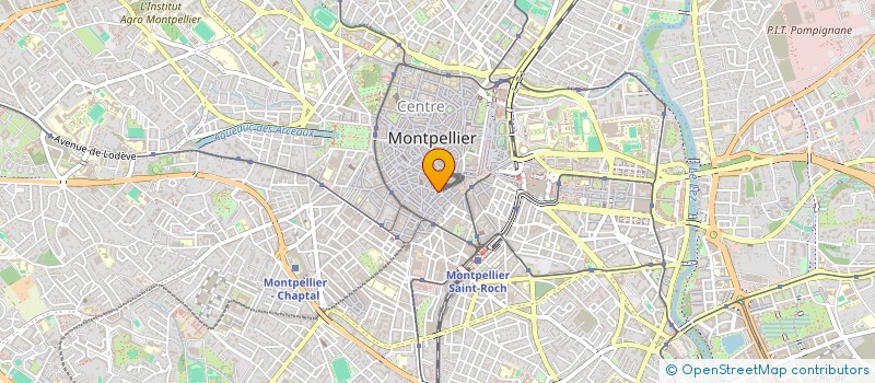 localisation de l'entreprise ASSOCIATION POUR LA FACULTE OUVERTE DE PARIS à MONTPELLIER