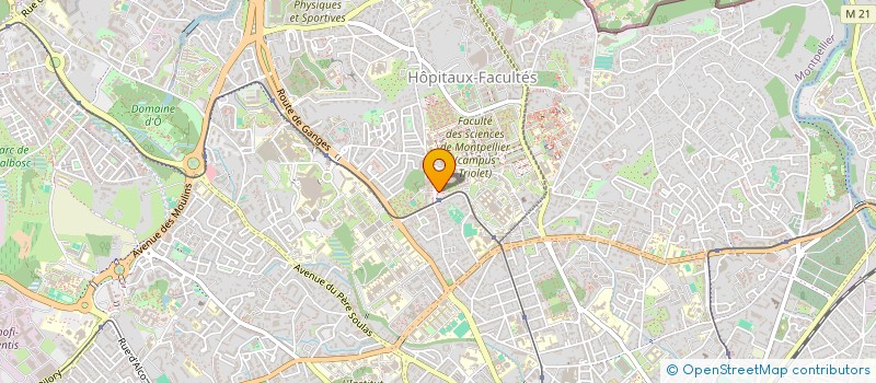 localisation de l'entreprise ASSOCIATION POUR LA NEURO-ONCOLOGIE FONCTIONNELLE (A.N.O.F.) à MONTPELLIER