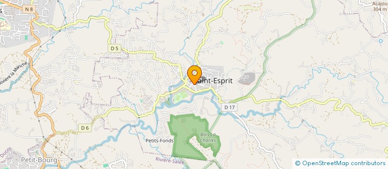 localisation de l'entreprise ASSOCIATION POUR LA PREVENTION ET L'INFORMATION SUR LA SANTE  SAINT-ESPRIT