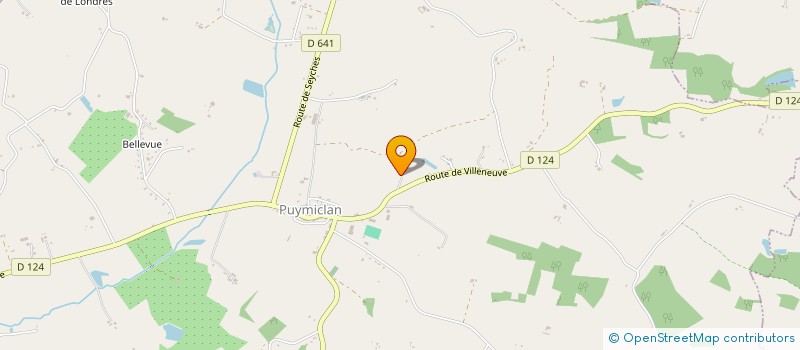 localisation de l'entreprise ASSOCIATION POUR LA PROMOTION ET L'ACTIVITE DE NOUVEAUX ARTISTES FRANCAIS  PUYMICLAN