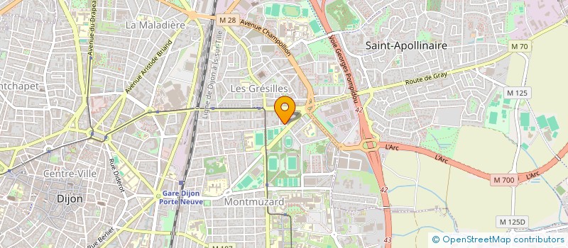 localisation de l'entreprise ASSOCIATION POUR LA RECHERCHE D'OUTILS D'INTELLIGENCE ARTIFICIELLE EN SANTE  DIJON