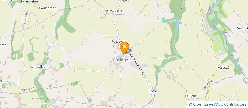 localisation de l'entreprise ASSOCIATION POUR LA RESTAURATION DE L'EGLISE NOTRE-DAME DE BRINGOLO  BRINGOLO