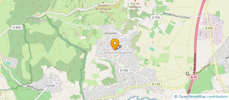 localisation de l'entreprise ASSOCIATION POUR LA SAUVEGARDE DE LA MEMOIRE DU GENERAL DE LATTRE DANS LE PUY-DE-DOME  LA ROCHE-BLANCHE