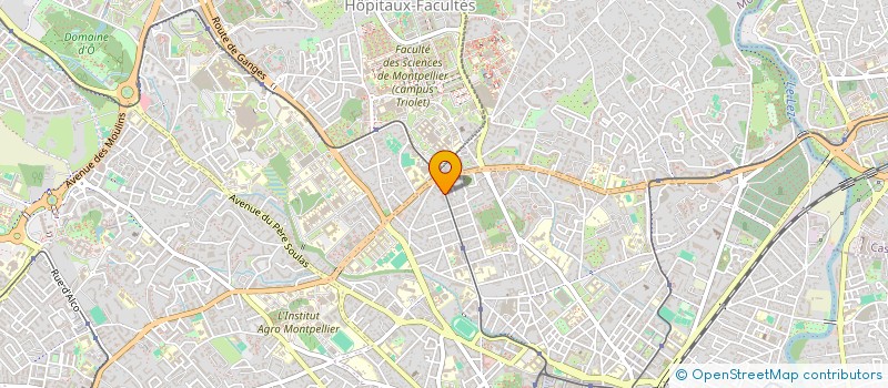 localisation de l'entreprise ASSOCIATION POUR LE CONGRES NATIONAL 2019 DE L'ANEPF A MONTPELLIER à MONTPELLIER