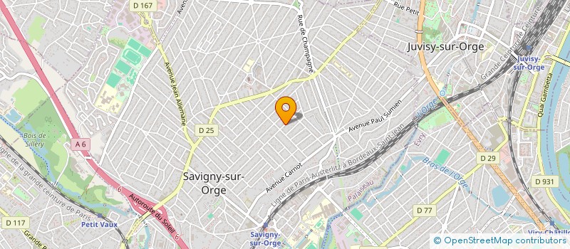 localisation de l'entreprise ASSOCIATION POUR LE DEVELOPPEMENT DES LOISIRS SPORTIFS ARTISTIQUES ET CULTURELS EN ESSONNE à SAVIGNY-SUR-ORGE