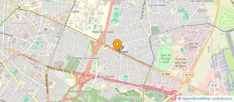 localisation de l'entreprise ASSOCIATION POUR LE DEVELOPPEMENT DU SOIN PSYCHANALYTIQUE FAMILIAL à BRON