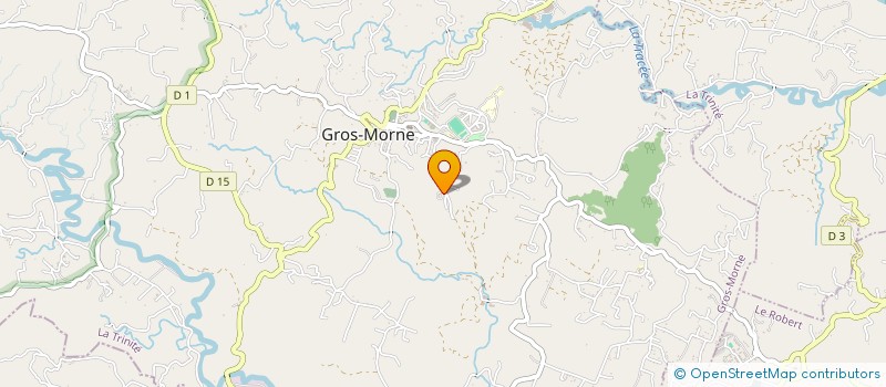 localisation de l'entreprise ASSOCIATION POUR LE DEVELOPPEMENT DURABLE ET L' ETHIQUE DANS LES RESSOURCES HUMAINES  GROS-MORNE