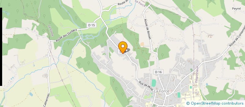 localisation de l'entreprise ASSOCIATION POUR LE DEVELOPPEMENT MUSICAL THE FINE ALLIES  LA FORCE