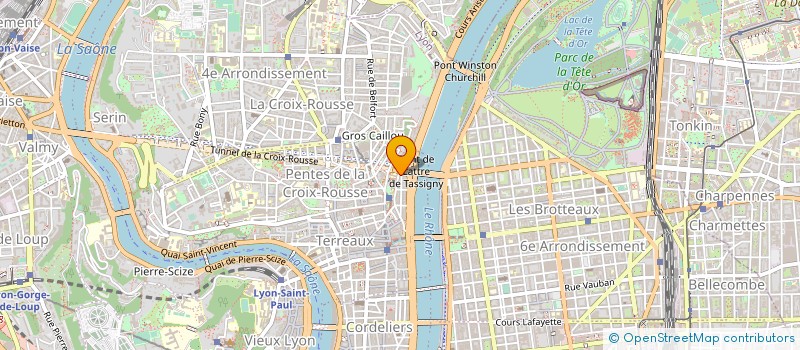 localisation de l'entreprise ASSOCIATION PRODUCTIONS SIRENE à LYON