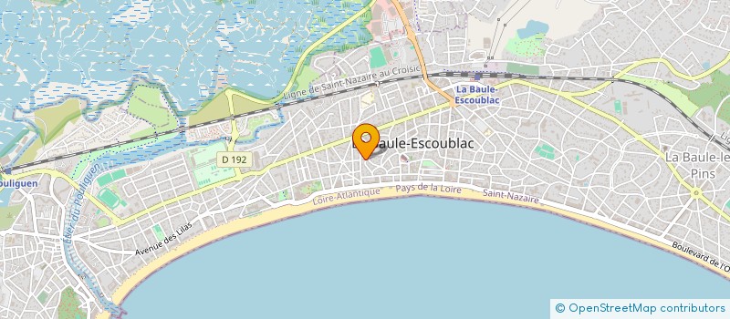localisation de l'entreprise ASSOCIATION PROTECTION ANIMALE DE KERDINO à LA BAULE-ESCOUBLAC
