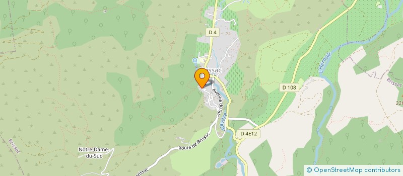 localisation de l'entreprise ASSOCIATION RAJOL  BRISSAC