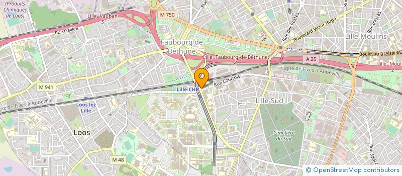 localisation de l'entreprise ASSOCIATION REGIONALE POUR LA RECHERCHE EXPERIMENTALE EN PATHOLOGIE INFECTIEUSE (A.R.R.E.P.I) à LILLE