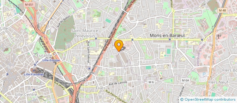 localisation de l'entreprise ASSOCIATION RESEAU SCAPEGOAT à LILLE